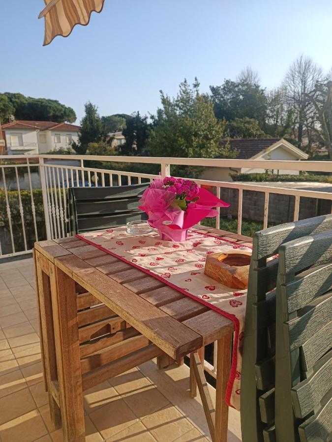 Le Palme 98 "Casa Vacanze" Camaiore Bagian luar foto